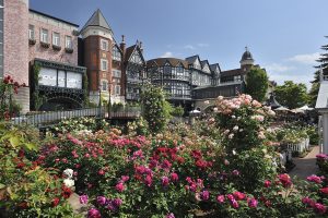 白い恋人パークは子供から大人まで1日満喫できるご機嫌スポット!