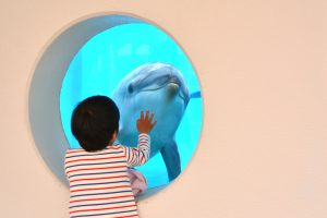 マリンワールド海の中道(福岡)は九州の海をダイナミックに再現!イルカショーも人気