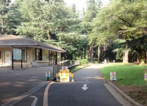 公園内のサイクリングコース／代々木公園（東京都/渋谷区）