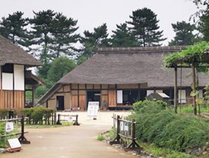 【東京でくつろぐ】小学5年生が徹底取材！東京おすすめスポット31～東京都下の公園編～