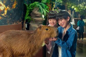 最新テクノロジーと動物のふれあいが融合!オービィ横浜