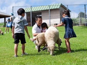 宮崎県の無料スポット・遊び場4選!農業を学べる公園や牧場、博物館、植物園など