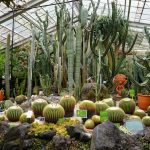 全国のポカポカ温室があるおすすめ植物園29選！熱帯植物など雨でも子どもと楽しめる