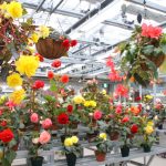 雨でもトロピカル気分！関東の温室がある植物園10選（東京・神奈川・埼玉・千葉ほか）