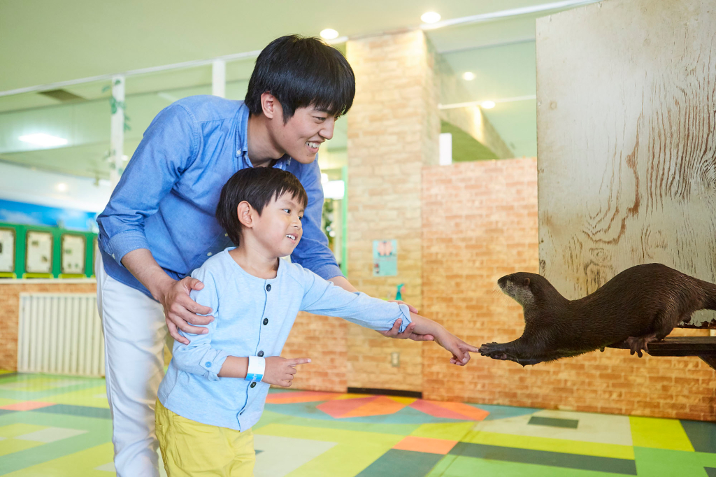 冬 雨でもok 関西 大阪 神戸 の屋内動物園 動物ふれあいスポット6選 るるぶkids