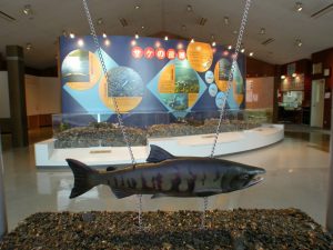 北海道の無料の博物館・工場見学14選！サケの生態や牛乳の製造を楽しく学ぼう