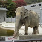 愛知県のおすすめ無料スポット・遊び場30選！動物園や水族館、展望スポットなど