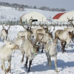 北海道の無料スポット・遊び場21選！トナカイ牧場や展望台、足湯のある公園など
