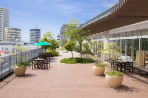 テラスモール湘南を子連れで1日楽しむポイントは?近くの公園でピクニックも!