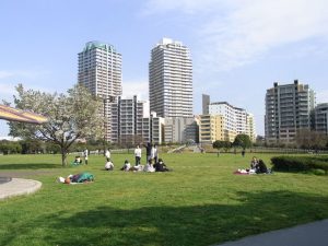 お出かけ・ピクニックに。千葉県で芝生広場がある大型公園おすすめ13選