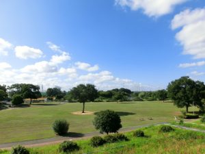 お出かけ・ピクニックに。埼玉県で芝生広場がある大型公園おすすめ15選