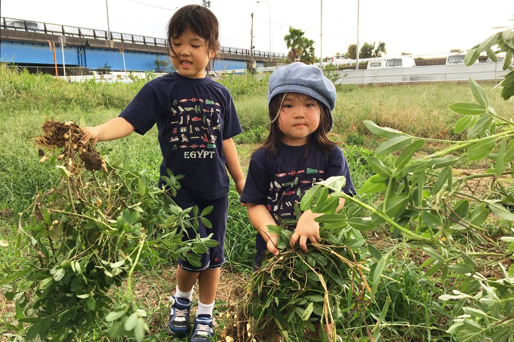 海ほたるから車で15分!木更津の「ぽんぽこ村」で通年OKの野菜収穫体験にチャレンジ
