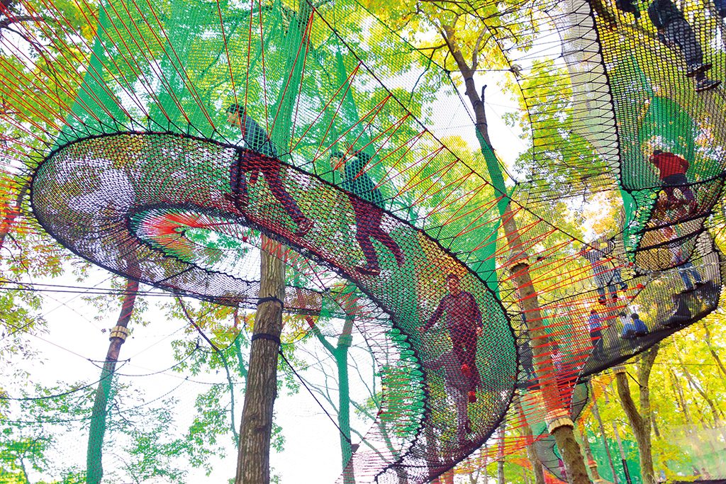 森の空中あそび パカブ（神奈川県/南足柄市）