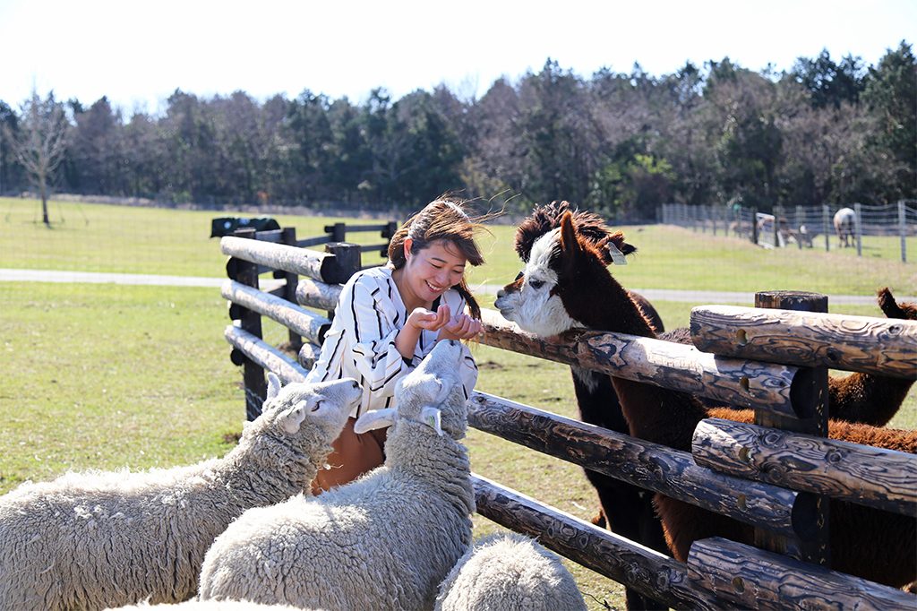 関東近郊のおすすめ観光牧場11選。動物とのふれあいや手作り体験がいっぱい！