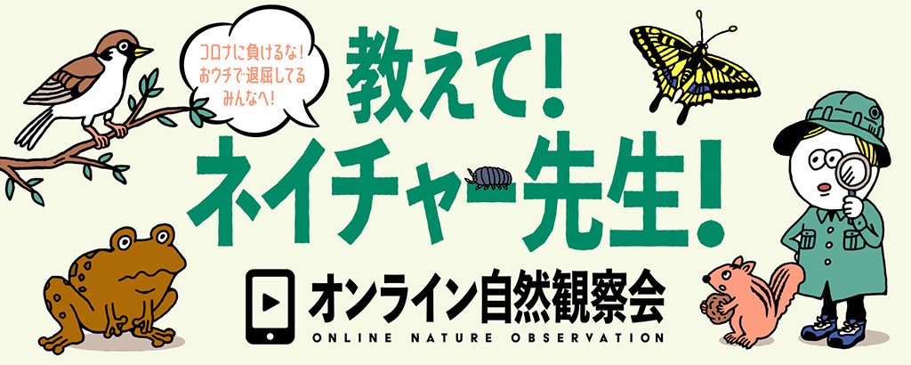 「教えて!ネイチャー先生」オンライン自然観察会