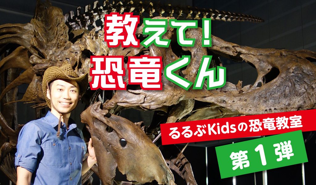 教えて!恐竜くん 第一弾