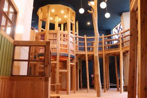 北陸最大級の屋内木育広場「あそびハウス こどもと森」が福井県にオープン!