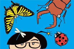 近場で昆虫観察!虫の探し方は?人気の花は?都内おすすめ公園の昆虫レポート付き