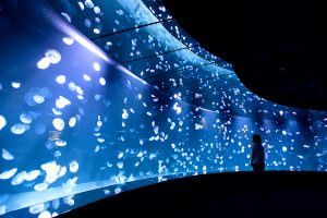 東京・サンシャイン水族館の新クラゲエリア「海月空感」を解説!注目の2つの新水槽って?