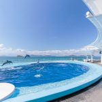 2020年夏、全国水族館の最新情報！ 4つのオープン＆3つの新“クラゲエリア”が登場