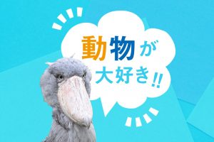 動物が大好き!! ｜希少な動物やふれあいが人気の動物にワクワク