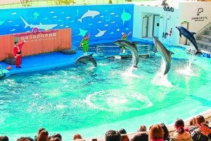 仙台うみの杜水族館の新エリア「ちいさなリスのくに」や新感覚ライブに大興奮！