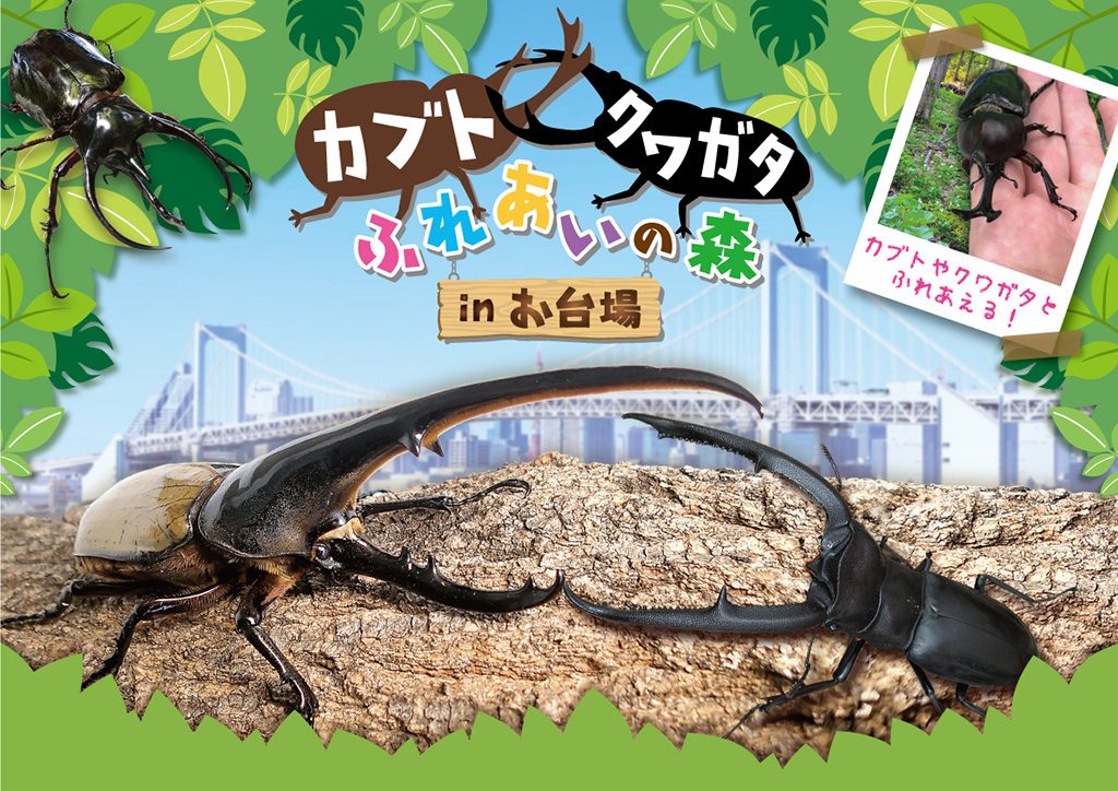 カブト・クワガタふれあいの森 in お台場(東京都/港区)