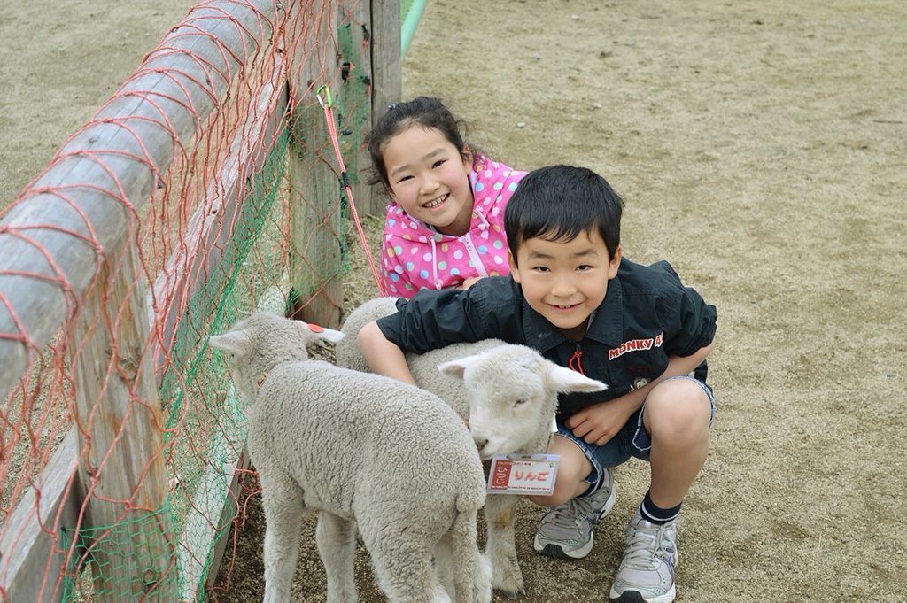 羊の赤ちゃんと子ども/山梨県立まきば公園(山梨県/北杜市)