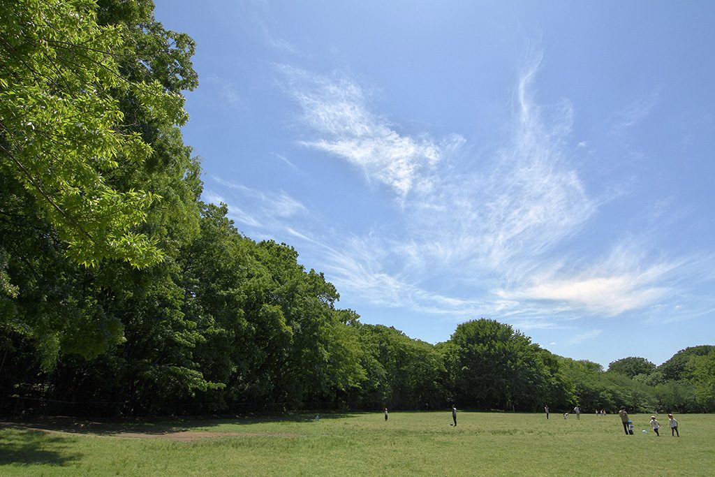 砧公園(東京都/世田谷区)