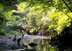 アスレチックやキャンプ、バーベキューも!大自然で遊ぶロマンの森共和国(千葉県君津市)