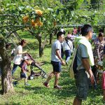 大分県の秋の味覚&果物狩りスポット！梨狩り・りんご狩り・みかん狩りなど