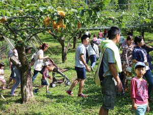 大分県の秋の味覚&果物狩りスポット！梨狩り・りんご狩り・みかん狩りなど