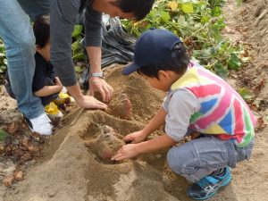 愛知県の秋の味覚&果物狩りスポット8選！ぶどう狩り・みかん狩り・芋掘りなど