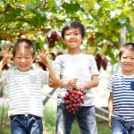 新潟県の秋の味覚&果物狩りスポット7選！ぶどう狩り・梨狩りなど