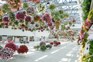 よみうりランド隣にあるHANA・BIYORIは新感覚のフラワーパーク!コツメカワウソにも会える