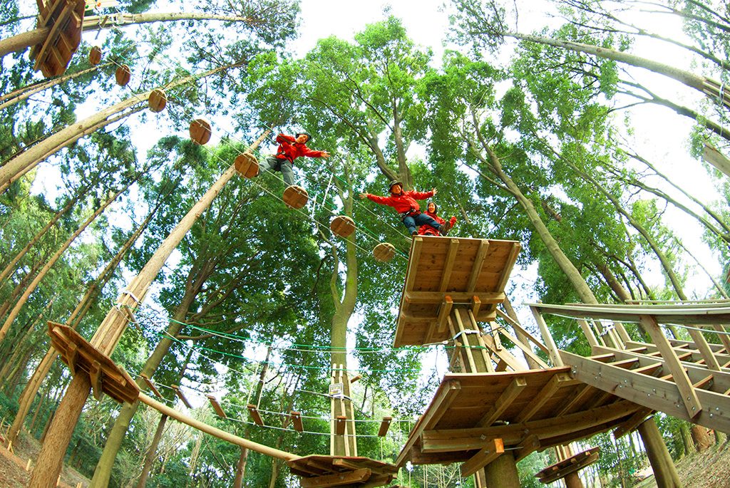 フォレストアドベンチャー・箱根(神奈川県/箱根町)