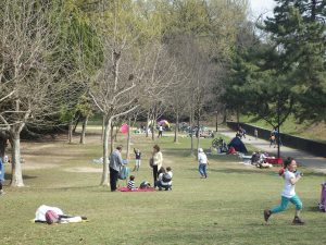 選択肢が豊富！大型アスレチックなど小幡緑地（愛知県名古屋市）での遊び方って？