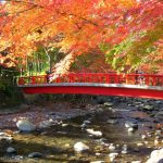 ［東海］秋の絶景！紅葉ハイキング・紅葉散歩のおすすめスポット（～12月中旬）
