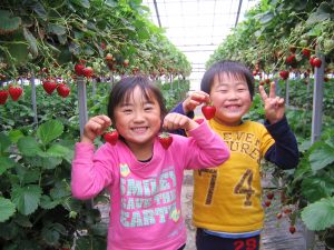 子連れにおすすめ!関東のいちご狩りができる3スポット。体験メニューやキッズスペースも