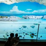 沖縄「DMMかりゆし水族館」徹底紹介！迫力のバーチャル水槽や、所用時間・料金・アクセスなど