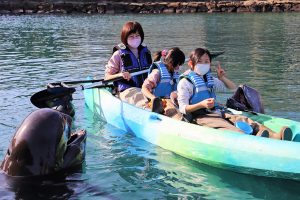 太地町立くじらの博物館の回り方は?クジラショー、イルカショー、ふれあいも充実