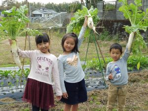 宮崎で体験する癒しの農泊スポット!親子で豊かな時間を過ごそう