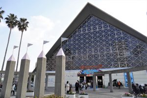 須磨海浜水族園、リニューアルまでの楽しみ方は?2024年春にはシャチがやってくる!