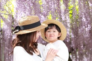 ベビーカーや車いすで楽しむ藤棚観賞!あしかがフラワーパークのバリアフリー情報も