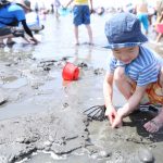 中国・四国（山口・香川）のおすすめ潮干狩り場（2025）マテ貝を採ろう！