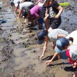 関東で子どもと田植え体験・米作り体験ができるスポット！イベントなど催しも充実