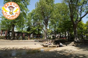 一年中水遊びが楽しめる「流れ」と遊具遊びに夢中になれる馬橋公園（杉並区）
