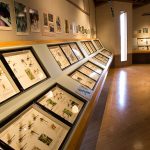 北海道・東北のおすすめ昆虫館！カブトムシとのふれあいや体験プログラムなど