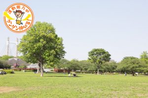 木場公園のアスレチック遊具を紹介!アクセス・駐車場情報も