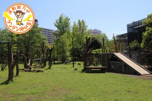 公園がプレイパークに変身!小松川ゆきやなぎ公園(江戸川区)で、非日常な遊びを体験